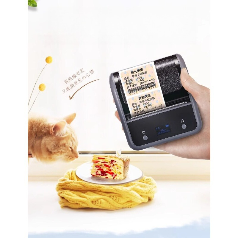 B3S Commercial Food Portable B - огляд і ціна Barcode Printer